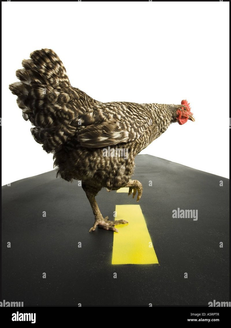 Chicken road online in Netherlands